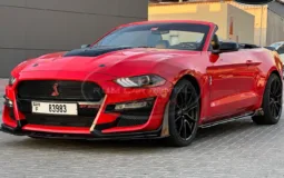 Ford Mustang Shelby GT500 Kit Convertible V8