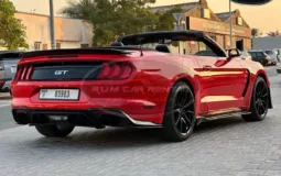 Ford Mustang Shelby GT500 Kit Convertible V8