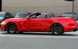 Ford Mustang Shelby GT500 Kit Convertible V8